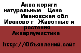 Аква коряги натуральные › Цена ­ 700-1200 - Ивановская обл., Иваново г. Животные и растения » Аквариумистика   